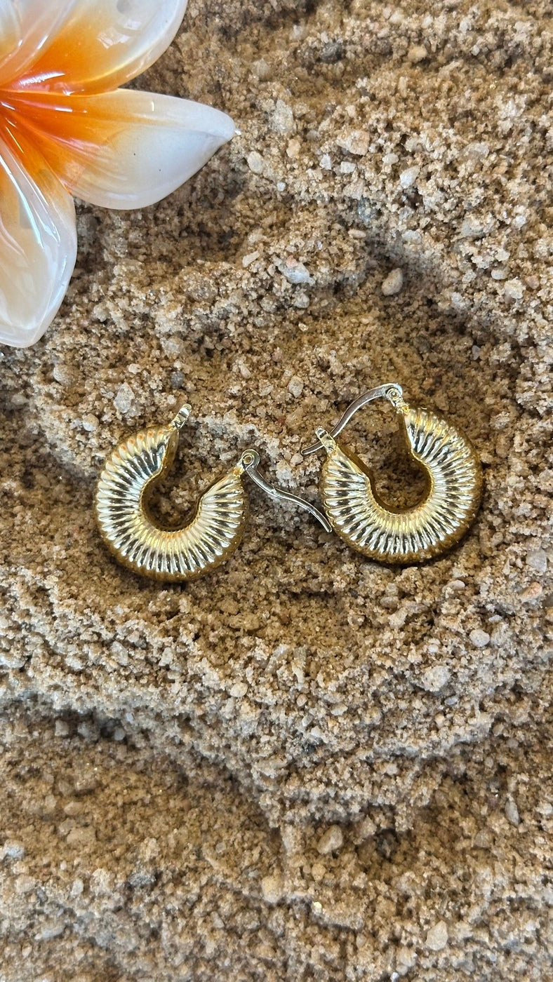 Shell Hoops