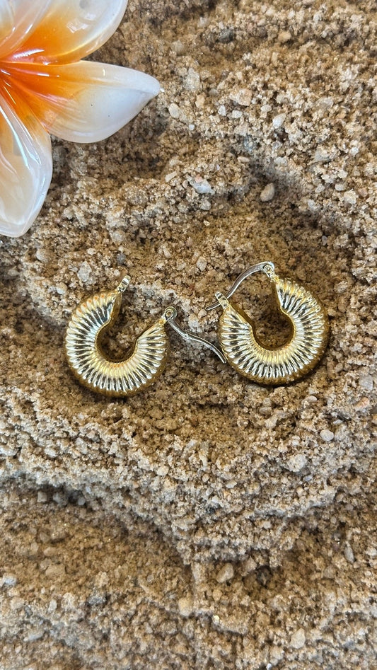 Shell Hoops
