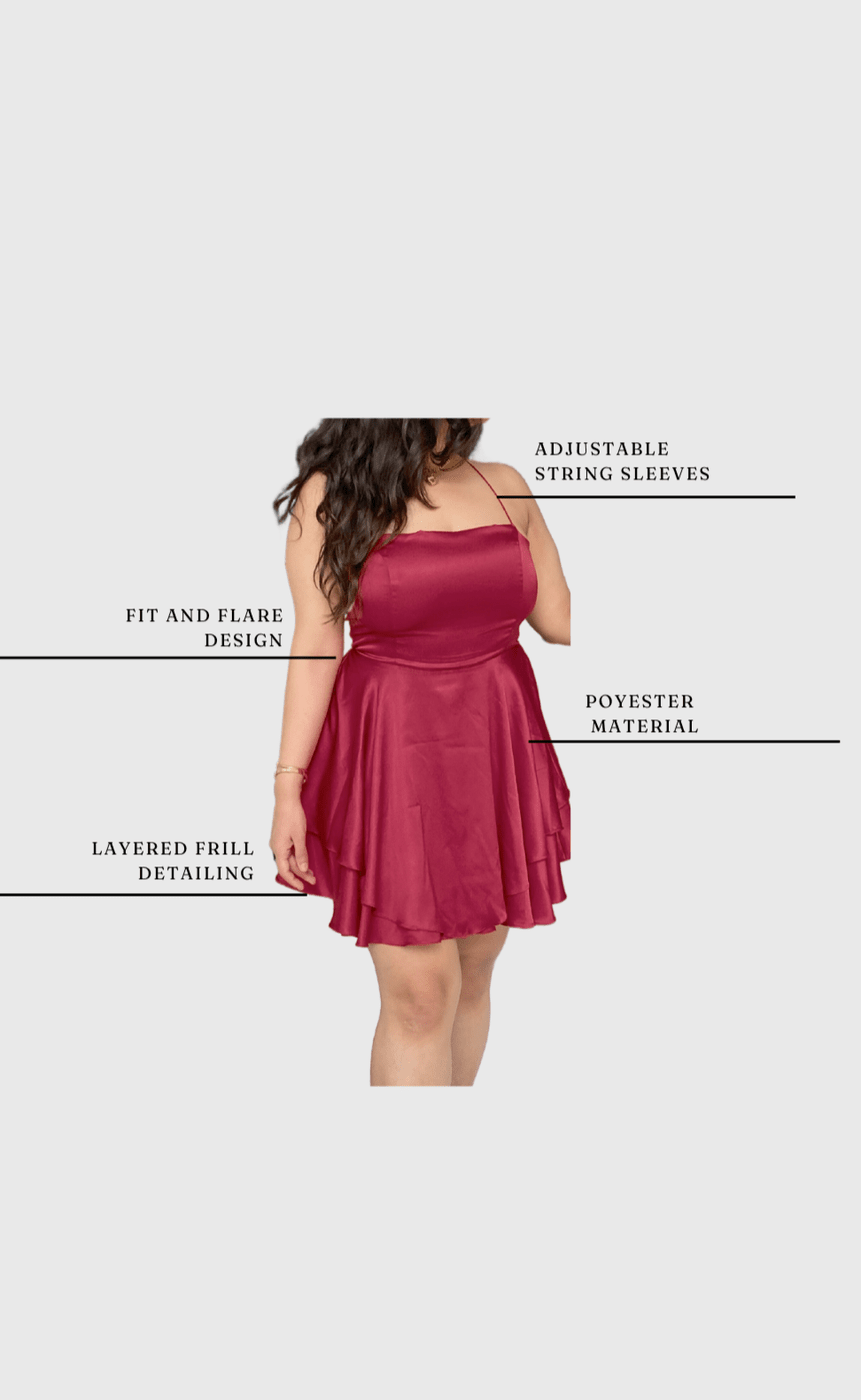 The Little Maroon Dress